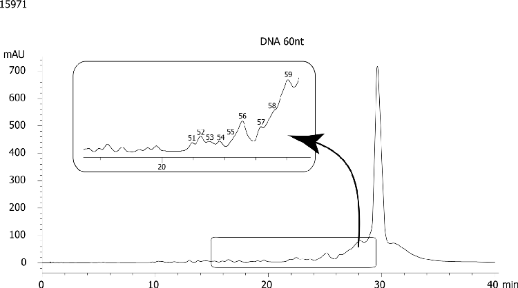 60nt DNA Oligo-RP 3µm Fingerprint