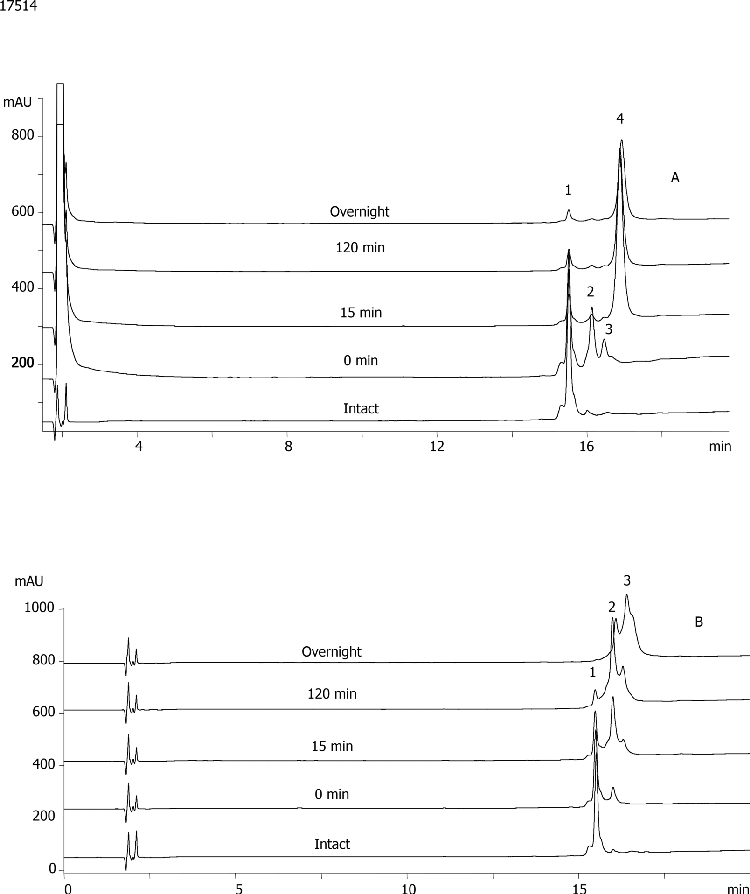 PEGylated alpha-Chymotrypsinogen A on Jupiter® 300 C18 3µm, reaction at different time-points