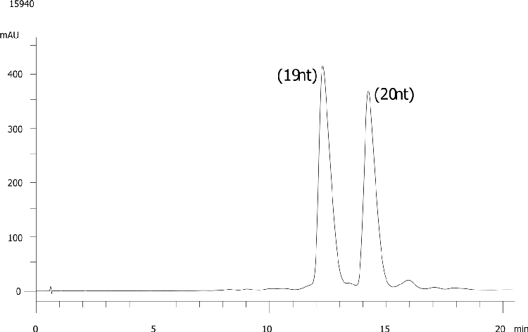 19nt (n-1) from 20nt (n) DNA Oligo-RP Purification