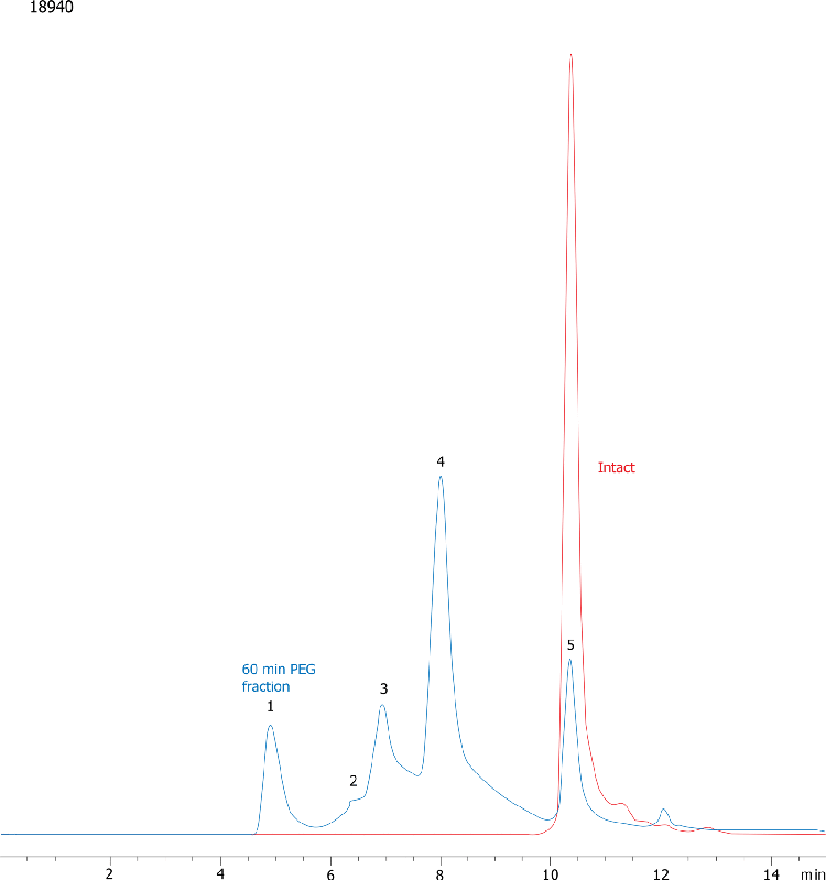 PEGylated alpha-Chymotrypsinogen A (N-Terminal PEG 20KDa) on BioSep3000 (2)