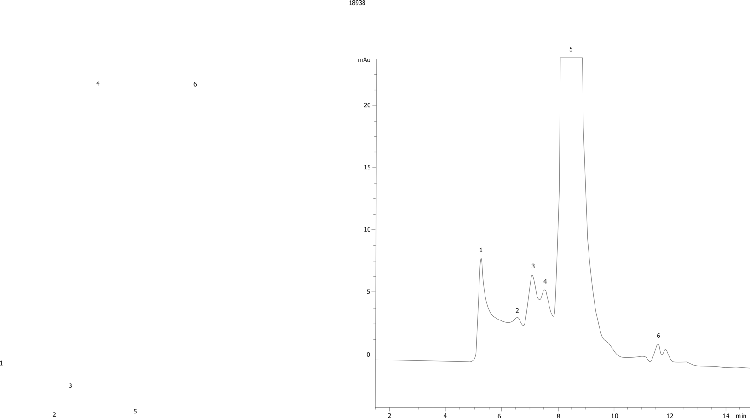 Hu IgG2k aggregates on BioSep3000(2)