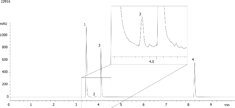 Low levels of B12 analysis from Vitamin pill formulation on Kinetex 5u EVO 150x4.6mm