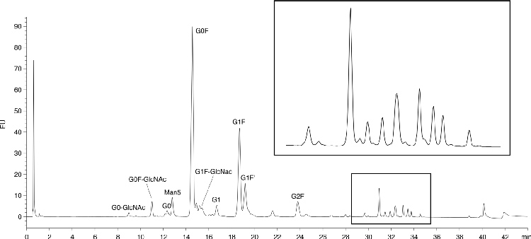 IntantPC Labeled N-Linked Glycans from Infliximab-dyyb on bioZen Glycan