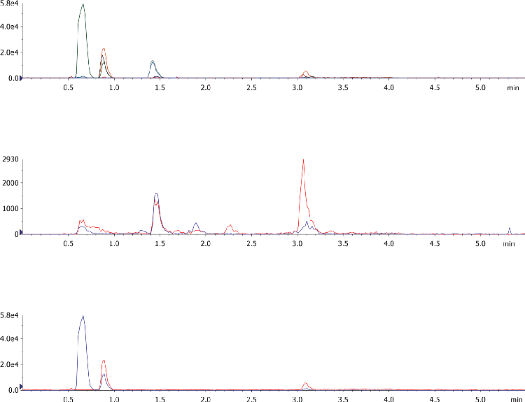 Extracted Ion Chromatograms for EtG/EtS and their Deuterated Internal Standards, 500ng/mL