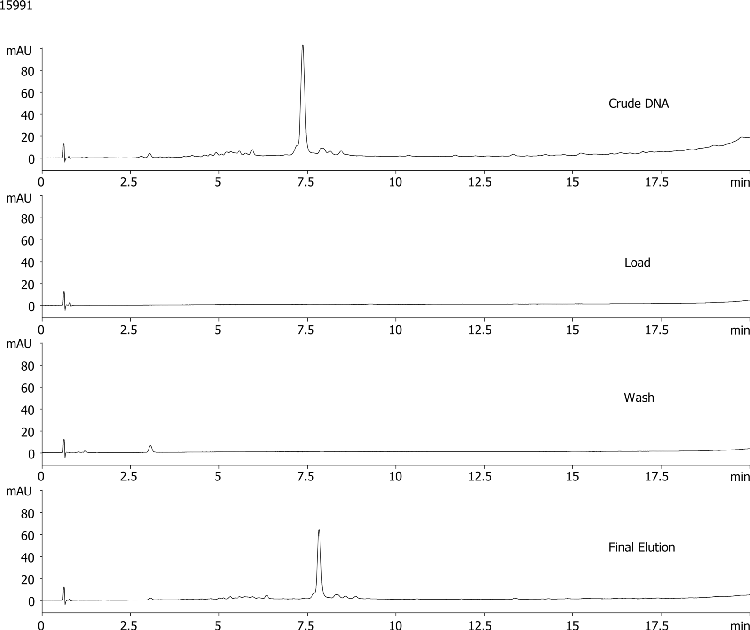 Dye-labeled DNA Desalting - Crude, Load, Wash, Elution Fractions