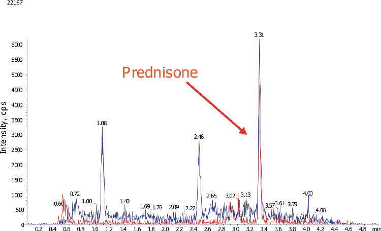 Prednisone Chromatogram_LLOQ (10 ng/mL)