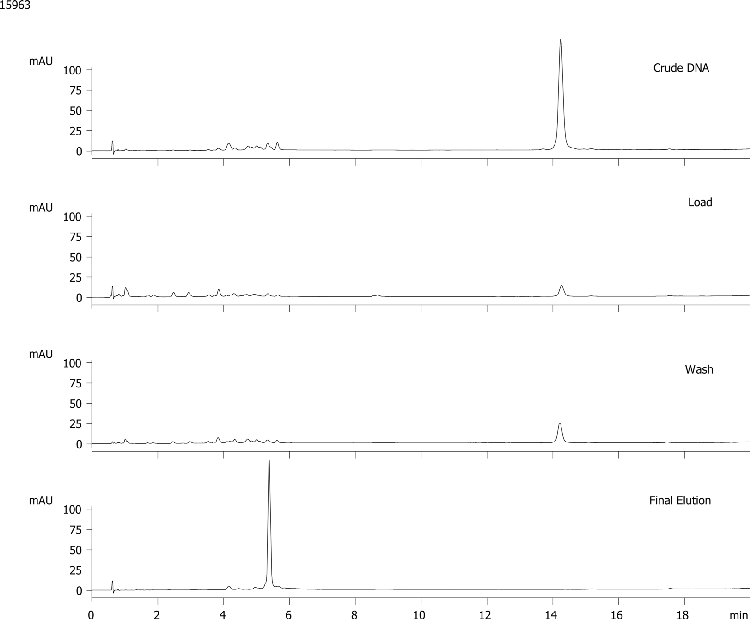 20nt DNA Cartridge Purification - Crude, Load, Wash, Elution Fractions