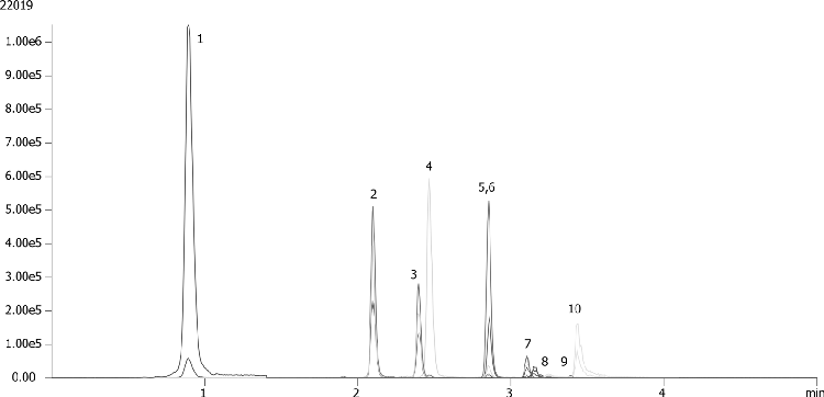 Polyphenol Analysis of Red Wine by LC/MS/MS on Luna 3 µm C8(2)