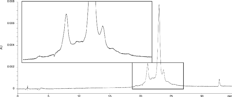 Charge Variants of Trastuzumab using Salt Gradient on bioZen 6 µm WCX