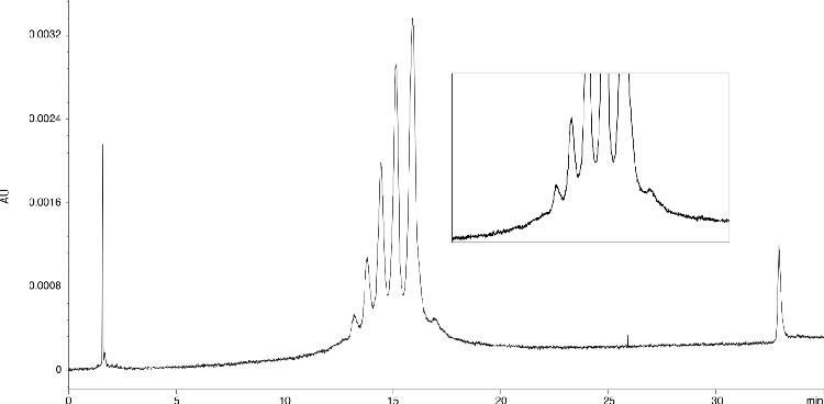 Charge Variants of Cetuximab using Salt Gradient on bioZen 6 µm WCX