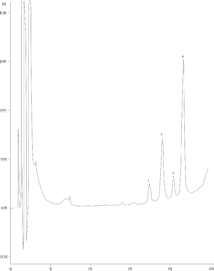 Glucagon Peptides