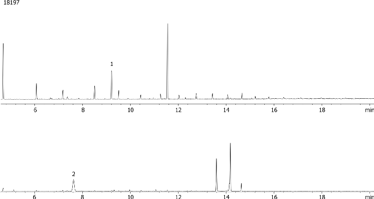 Melamine Extract from Milk by MSD on ZB-5ms