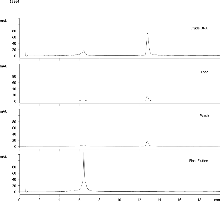 40nt DNA Cartridge Purification - Crude, Load, Wash, Elution Fractions