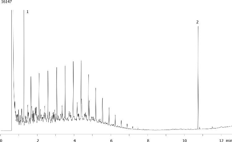 Fast H53 Analysis of Diesel Fuel on ZB-5HT