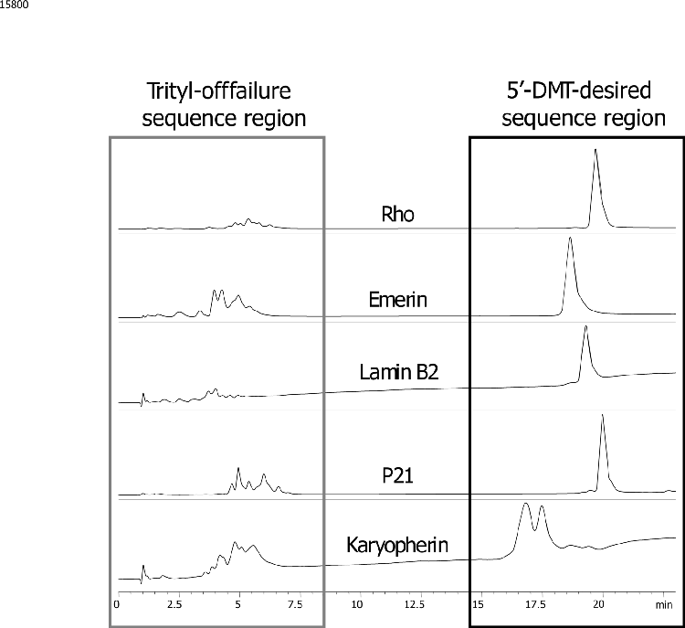 siRNA Cartridge Purification - Crude Fraction