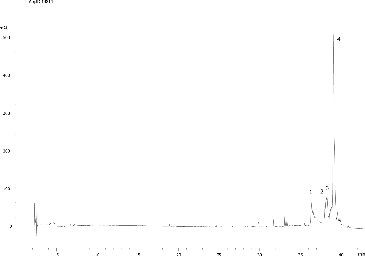 Degraded Myoglobin on Aeris WIDEPORE 3.6u XB-C18