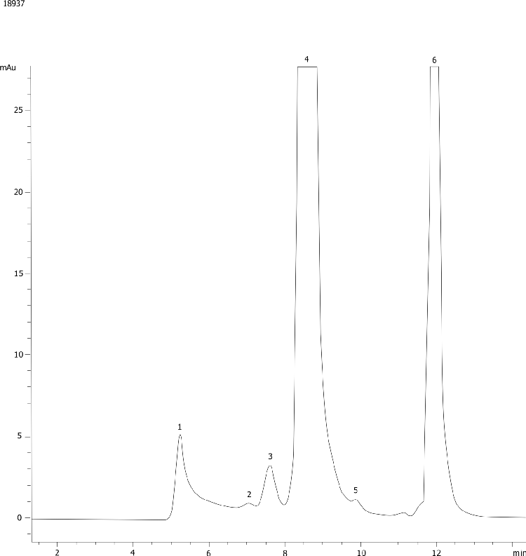Murine IgG1k aggregates on BioSep3000(2)