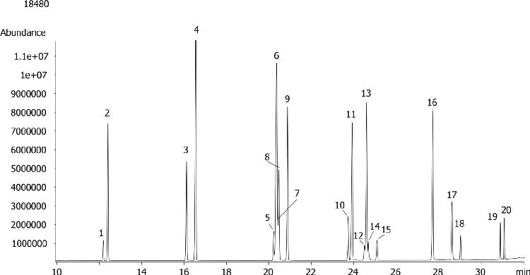 Marine Oil Fames by MSD on ZB-XLB-HT