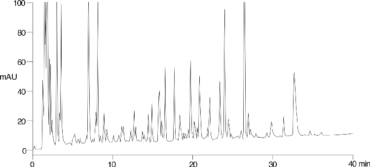 Cytochrom C Bacteria