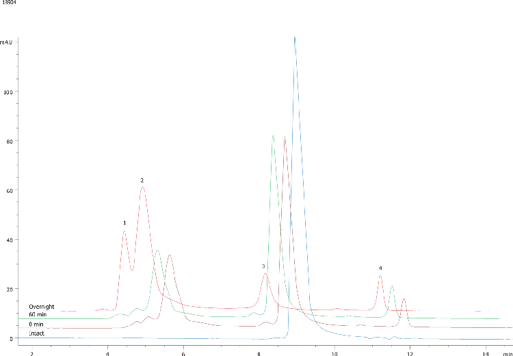 PEGylated B-Lactoglobulin A (N-Terminal PEG 20KDa) on BioSep2000 (2)
