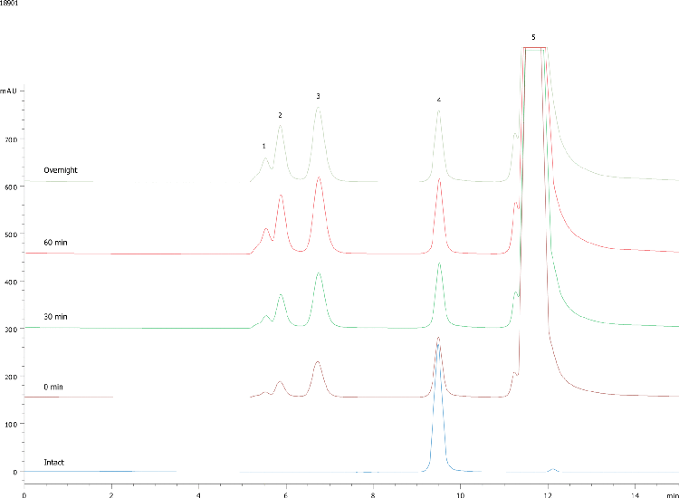 PEGylated Ribonuclease A (amine PEG 20KDa) on BioSep2000 (2)