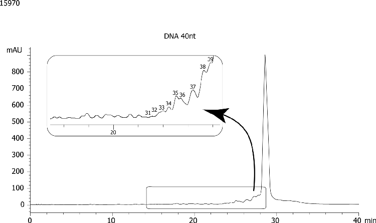 40nt DNA Oligo-RP 3µm Fingerprint