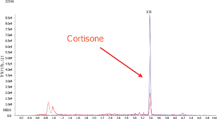Cortisone Chromatogram_LLOQ (10 ng/mL)