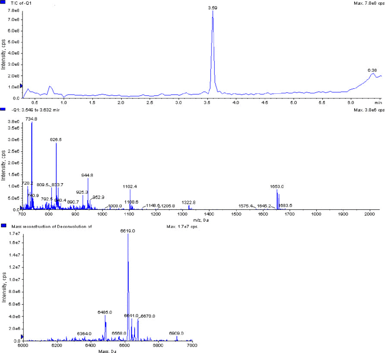 LC/MS poly dT 12-18 (Figure 1)