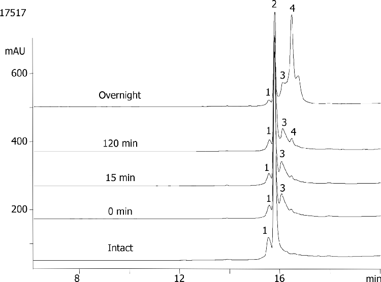 PEGylated beta-Lactoglobulin A on Jupiter® 300 C18 3µm, reaction at different time-points