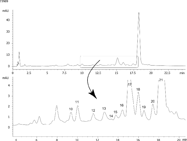 21nt DNA Oligo-RP 3µm Fingerprint