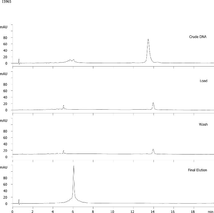 39nt DNA Cartridge Purification - Crude, Load, Wash, Elution Fractions