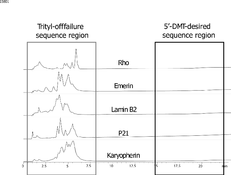 siRNA Cartridge Purification - Load Fraction