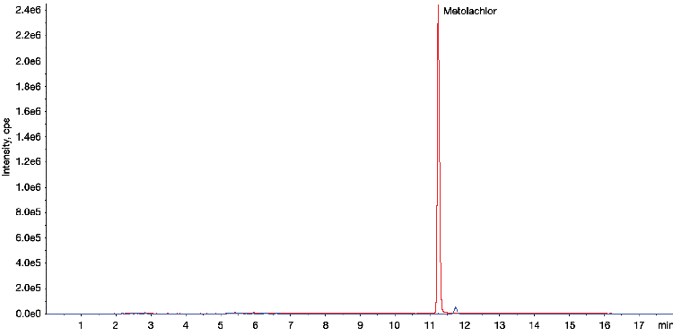 LC-MS/MS Pesticides (Metolachlor)- No Filter in Chili Exacts for the comparison of with/without Filter Vial