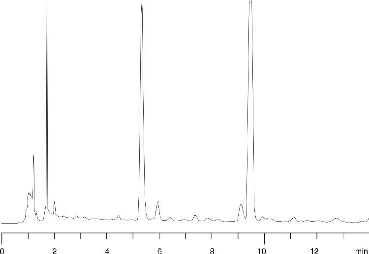 Echinacea on Synergi Polar-RP