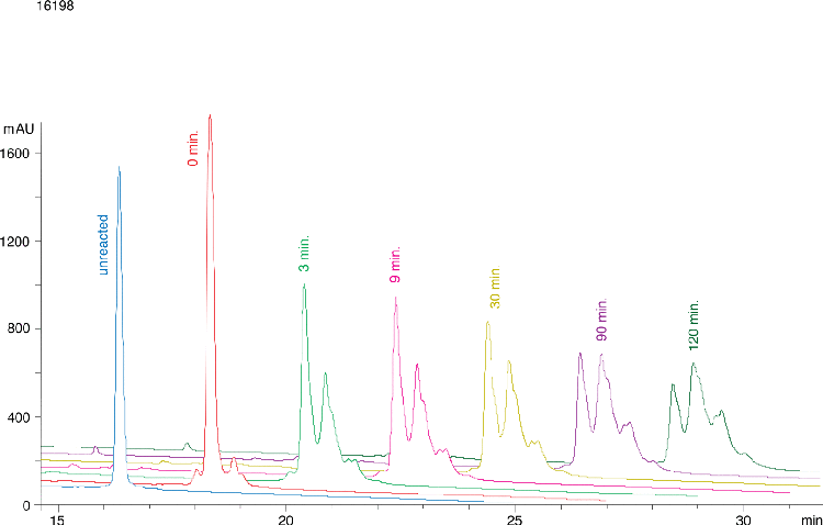 Jupiter® 300 C4 - PEGylation Reaction Time Course (Carbonic Anhydrase)