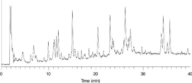 ß-Lactoglobuline (oxidized)