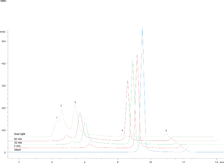 PEGylated Ribonuclease A (N-Terminal PEG 20KDa) on BioSep2000 (2)