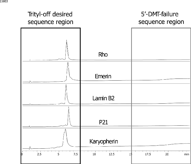 siRNA Cartridge Purification - Elution Fraction