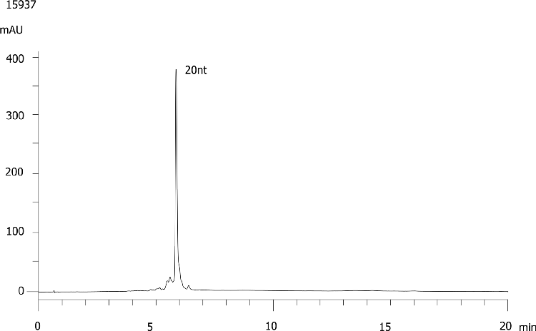 20nt RNA Oligo-RP Purification