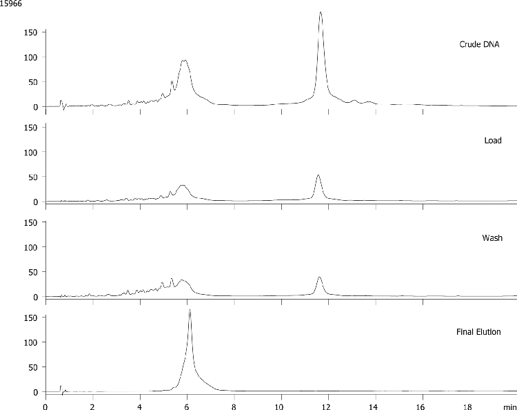 60nt DNA Cartridge Purification - Crude, Load, Wash, Elution Fractions