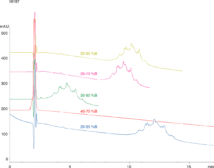 Jupiter® 300 C4 - Effect of Varying Mobile Phase Gradient Conditions