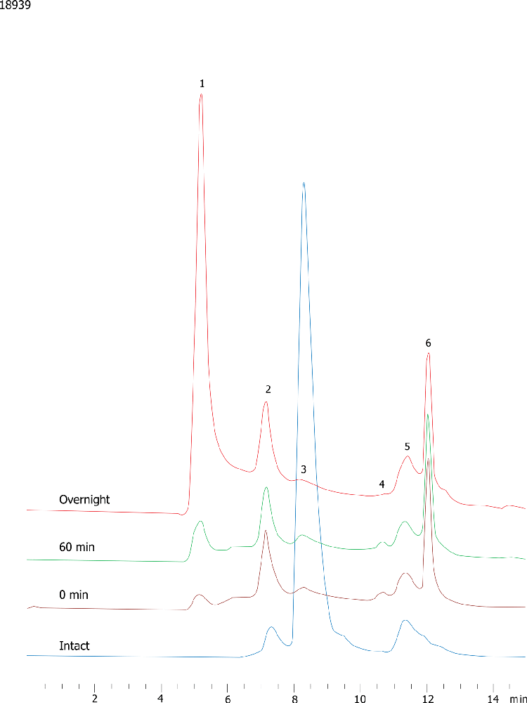 PEGylated IgG (N-Terminal PEG 40KDa) on BioSep3000 (2)