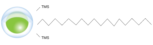 NX-C18