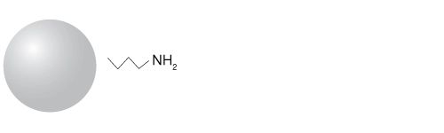 NH2