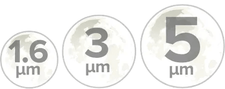 Hydrophobic Selectivity