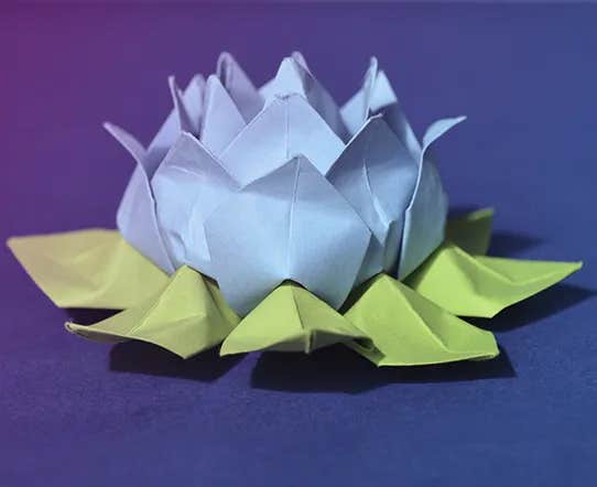 Zen in Your Lab with Lotus Flower Origami