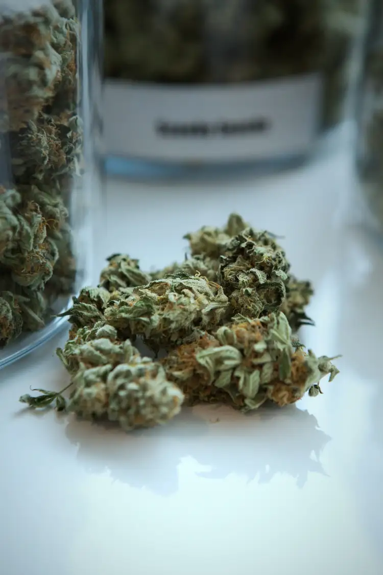 Buds