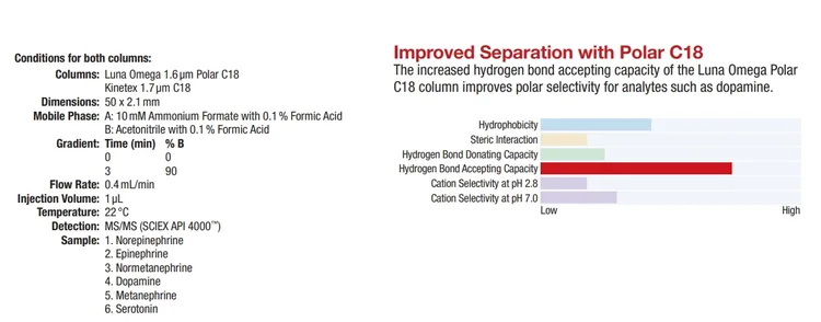 Polar selectivity of catecholamines
