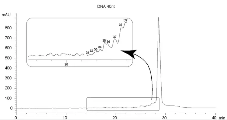 40nt DNA Oligo-RP 3µm Fingerprint