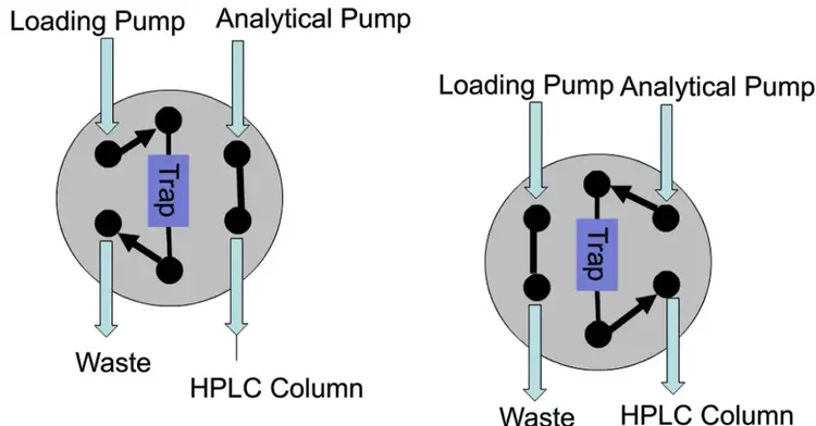 Forward elute on a micro LC column